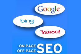 onpage and offpage seo course details